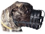Large Leather Dog Muzzle for BULMASTIFF-Basket Leather Muzzle
