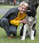 Akita Inu Royal Dog Harness - Exclusive Studded Leather Harness