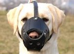 Everyday Labrador Leather dog muzzle - product code M51