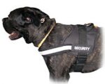 Nylon Dog Harness for Cane Corso - H6Plus