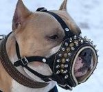 Royal Spiked Leather Dog Muzzle - product code M61