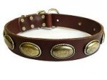 Vintage Dog Leather Collar for Everyday Comfortable Walking