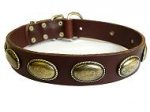 Leather Canine Collar Decorated With Vintage Oval Plates