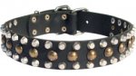 Leather Dog Collar with Hand Set Pyramids and Studs