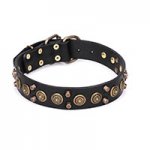 'Regal Heritage' Funky Leather Collar for Dog with Brass Plated Pyramids and Old Bronze-Like Studs 1 1/2 inch wide