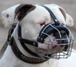 Basket Wire Dog Muzzle Light For American Bulldog