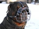 Basket Wire Dog Muzzle Light For Rottweiler - M4light