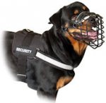 All Weather Harness for Rottweiler