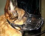 No Bite Dog Muzzle with Metal Cage for Easy Walking and Safe Training