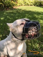 Metal Wire Basket Muzzle with Felt Padded Nose