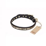 'Wealth Effulgence' FDT Artisan Leather Walking Dog Collar with Brass Plates - 1 inch (25 mm) wide