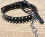 Exclusive Set of Spiked Leather Dog Collar + Exclusive HS Nickel Plated Leash