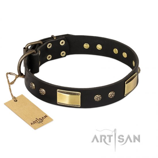 FDT Artisan 'Black Sun' Leather Dog Collar with Brass Plated Decorations - 1 1/2 inch (40mm) wide