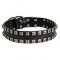 Fashion Dog Collar of Exclusive "Caterpillar" Design