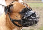 Wire Dog Muzzle Basket for Convenient Wearing while Walking or Training_1