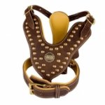 Fashion Dog Harness with Studded Chest for Walking and Training