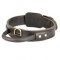 Heavy Duty Best Dog Collar for Training with Handle