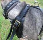 Kenzo appreciated new Agitation / Protection / Attack Leather Dog Harness