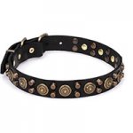 'Bronzed Sun' Extra Strong Leather Dog Collar with Rustproof Hardware 1 1/5 inch (30 mm) Wide