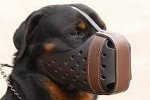 Leather dog muzzle "Dondi" style For Rottweiler - M55
