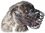 Bullmastiff Wire Dog MUZZLE for winter with rubber cover