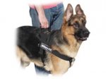 German Shepherd Control Nylon Dog Harness with ID Patches