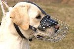 Basket Wire Dog Muzzle Light For Labrador - M4light