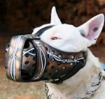 Handmade Leather Dog Muzzle with Barbed Wire Painting