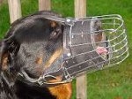 Basket wire dog muzzle with full around snout padding perfect for Rottweiler - M90