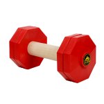 'Body Builder' Wooden Dog Training Dumbbell with Red Plastic Weight Plates 1000 g