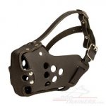 Best Hard Leather Dog Muzzle for Military, Police and Agitation Training