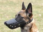 Free Breathing Leather Dog Muzzle for Everyday Activity