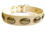 Exclusive Dog Leather Collar of Highest Quality