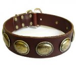 Retro Rulz - Gorgeous Vintage Dog Leather Collar - C103_4