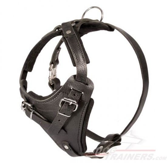Attack Leather Dog Harness with Padded Chest Plate