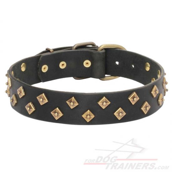 “Haute Couture” leather dog collar adorned with brass pyramids