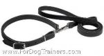 Police / Hunting Dog Leash and Collar Combo