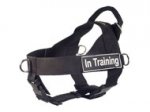 American Bulldog Nylon Harness for Pulling, Tracking, Training and SAR