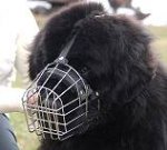 Newfoundland Wire Basket Dog Muzzles Size Chart - Newfoundland muzzle - M4light