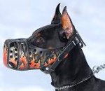 Hand painted by our artists leather Muzzle "Dondi" Plus - FLAMES - product code m77FLAMES