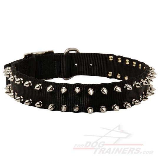 Spiked Black Nylon Dog Collar for All Weather Use