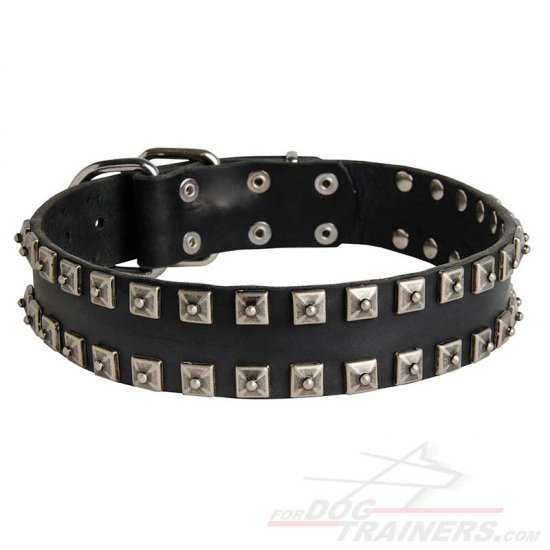 Fashion Dog Collar of Exclusive "Caterpillar" Design