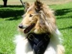 Agitation Leather Dog Harness Padded_21
