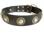 Handcrafted Leather Dog Collar with Silver Plated Brooches