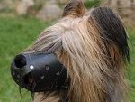 Everyday Briard Leather dog muzzle - product code M51