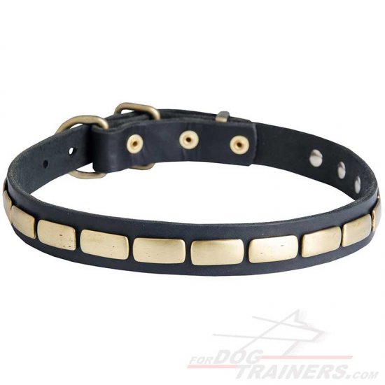Narrow Decorative Leather Dog Collar with Plates