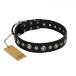 "Genteel Charm" FDT Artisan Black Leather Dog Collar with Silver-like Round Conchos