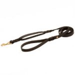 Braided Leather Dog Leash with Additional Handle