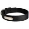 All Weather Nylon Dog Collar with Name Plate