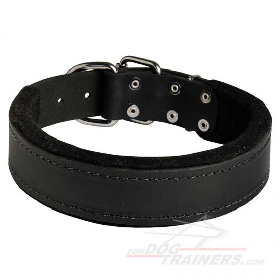 Padded Leather Dog Collar 1.5 inch (3.8cm) width